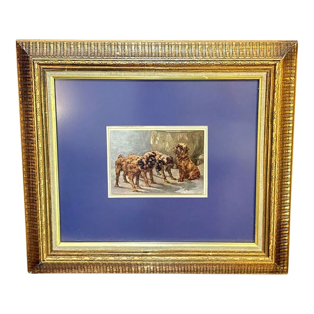 Brussels Griffon Trio Framed Print For Sale