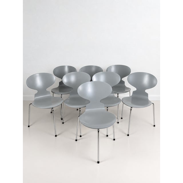 Gray Ant 3101 Chair in Grey by Arne Jacobsen for Fritz Hansen, Denmark, 1990s, Set of 8 For Sale - Image 8 of 8