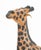 Contemporary Standing Giraffe Painted Leather Sculptures, 2 For Sale - Image 3 of 8
