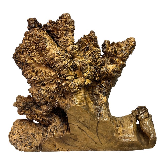 Vintage Signed Burl Wood Free Form Tree Sculpture For Sale