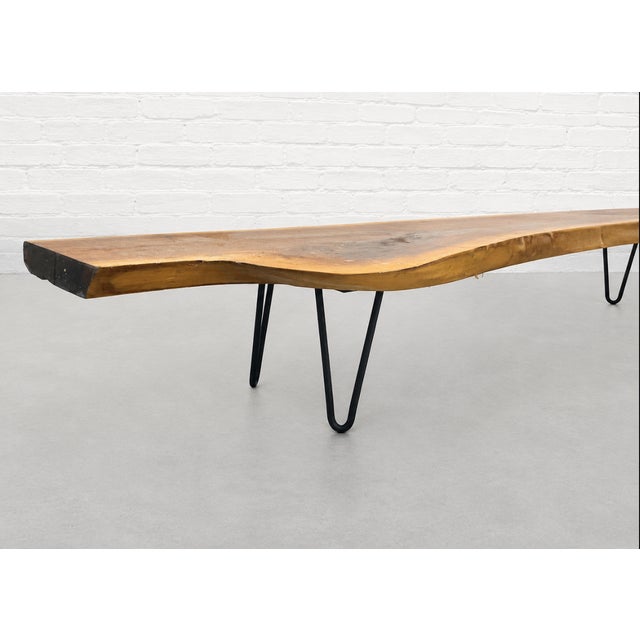 Extra Long Sculptural Live Edge Wood Bench or Long Coffee Table Hairpin Legs For Sale - Image 4 of 12