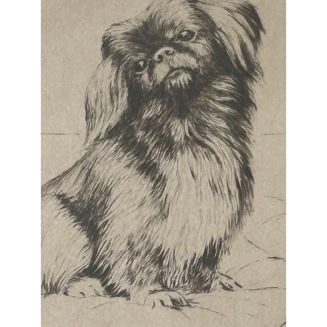 Vintage Framed and Signed Monochrome Etching of Pekingese Dog Seated on Cushion For Sale - Image 4 of 7