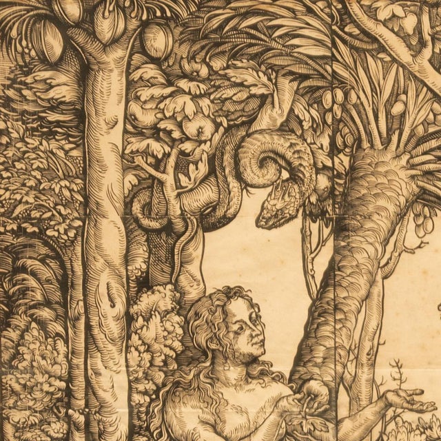 16thCentury German Northern Renaissance Woodcut Print Adam & Eve Baron Von Lanna by Hans Burgkmair the Elder, 1525 For Sale - Image 14 of 18