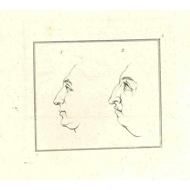 Portrait - The Physiognomy is an original etching artwork realized by Thomas Holloway for Johann Caspar Lavater's "Essays...