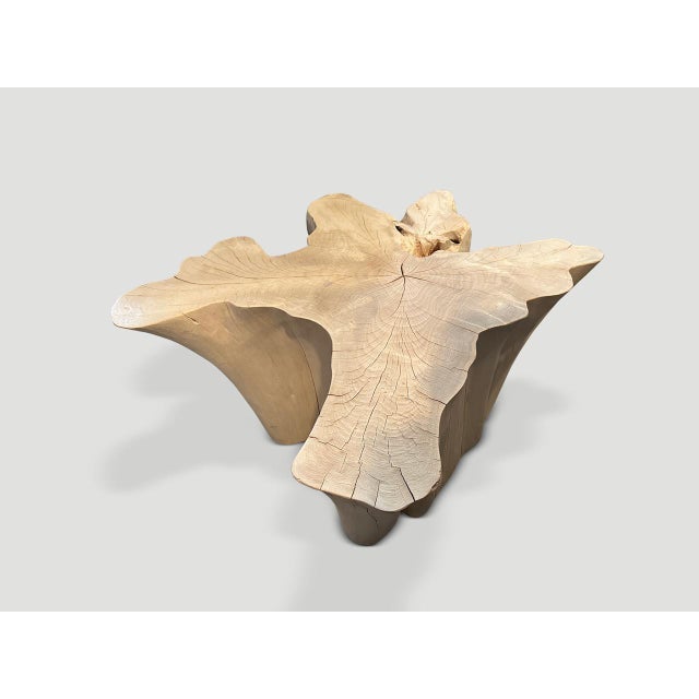 Andrianna Shamaris Amorphous Bleached Teak Wood Coffee Table For Sale - Image 4 of 6