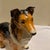 Figurative Large Vintage 18” Goebel Porcelain Collie Dog Figurine - West Germany For Sale - Image 3 of 8