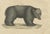 Early 19th Century Bertuch, Tapir & Bear Zoological, 1800, Engraving For Sale - Image 5 of 9