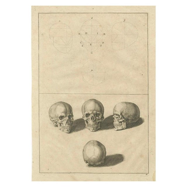 After De Lairesse, Human Skull Anatomy Plate, 1745, Paper For Sale - Image 10 of 10