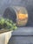 Vintage Still Life Oil Painting Canvas, Thomas Kerwick (1923-2015) For Sale - Image 10 of 10