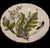 Ceramic Chelsea Plates Botanical Design by Mottahedeh for Metropolitan Museum of Art - Set of 4 For Sale - Image 7 of 12