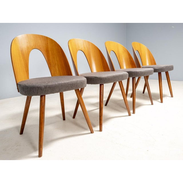 Mid-Century Modern Dining Chairs by Antonín Šuman for Tatra Furniture, Czechoslovakia, 1960s, Set of 4 For Sale - Image 3 of 11