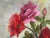 Textile Catherine Yates "Colored Roses" Oil on Canvas For Sale - Image 7 of 11