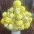 1950s Mid Century Italian Topiary With a White Compote Holding a Pile of Lemons. For Sale - Image 5 of 6