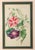 Lessons From the Vegetable World: Robert Mackenzie Stark Botanical Prints 1858 For Sale - Image 11 of 13