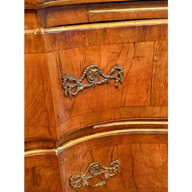 18th Century Burl Walnut Four Drawer Commode For Sale In Tampa - Image 6 of 10