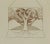 Danilo Bergamo, Tree of Life, Etching on Cardboard, 1983 For Sale - Image 3 of 4