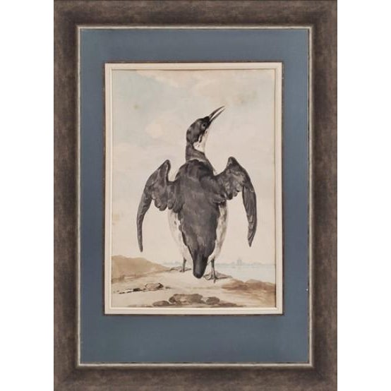 Illustration 18th Century Watercolors of Birds by Abraham Van Meertens (1747-1823) - Set of 4 For Sale - Image 3 of 7