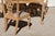 Late 20th Century Handcrafted Chippendale-Style Game Table and Four Chairs With Leather, Set of 5 For Sale - Image 4 of 14