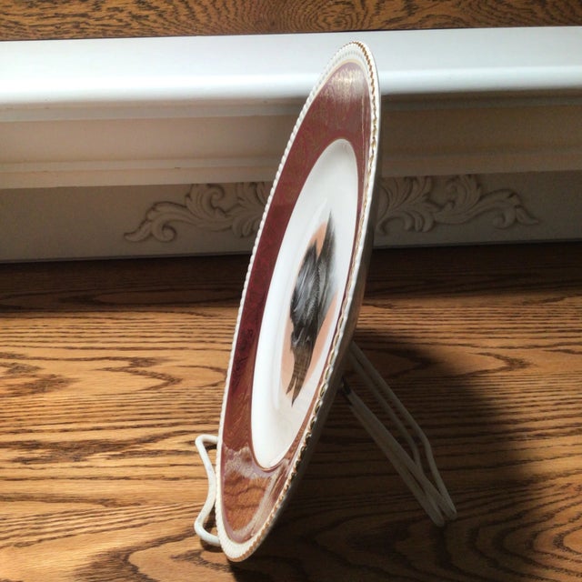 Burgundy Vintage Solian Ware Simpson's Potters Ltd Cobridge England Schnauzer Dog Plate For Sale - Image 8 of 13