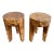 Pair of Polished Solid Teak Burl Wood Three Legged Stools by Made Goods For Sale