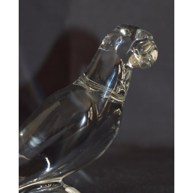 Baccarat Vintage Baccarat France Clear Crystal Parrot Figurine Signed Art Glass Bird 4" For Sale - Image 4 of 15