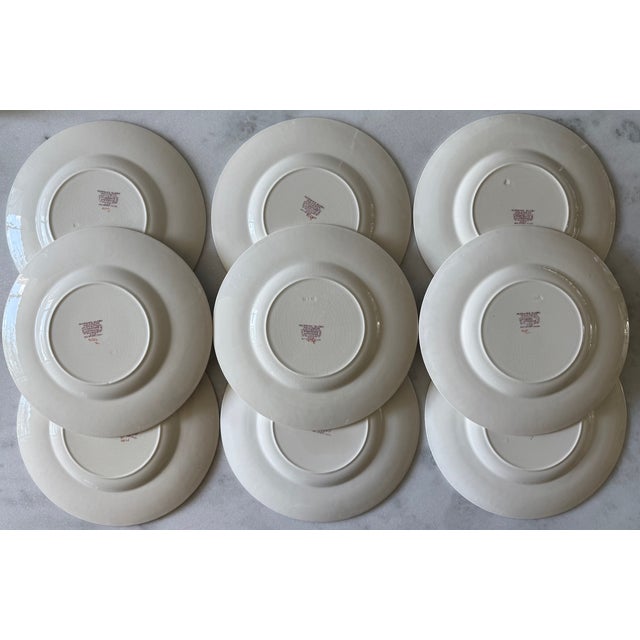 Set of 9 Wedgwood Dinner Plates in the Morning Glory Pattern For Sale - Image 9 of 13