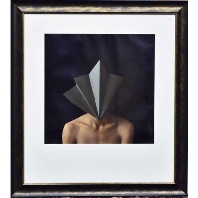 American Pair of Framed Photographs by Susan Fenton For Sale - Image 3 of 7