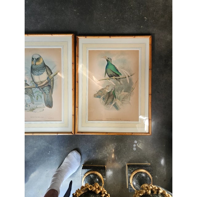 Late 19th Century Three Hand Colored J Gould Bird Prints For Sale - Image 5 of 11