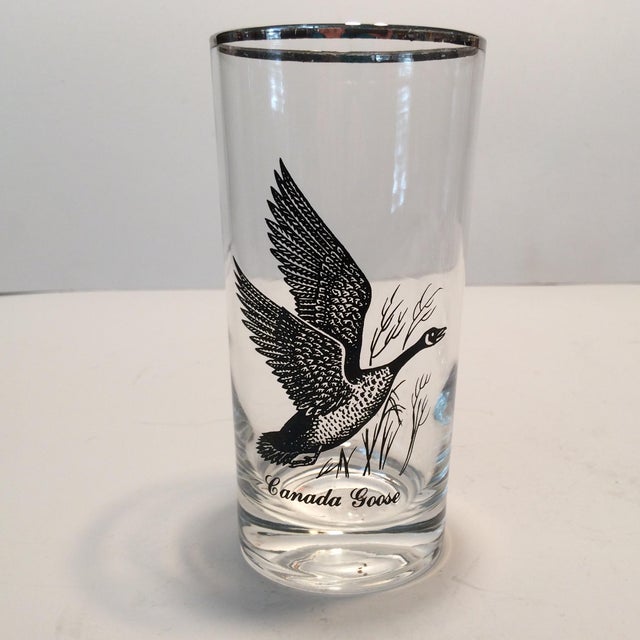 Vintage Silver Rimmed Bird Hunting Glasses Set of 4 Chairish