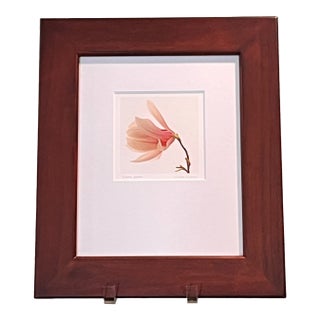 Mid 20th Century Jon Olsen Signed Framed Photo Print Tuliptree Blossom Fine Art Botanical For Sale