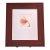 Mid 20th Century Jon Olsen Signed Framed Photo Print Tuliptree Blossom Fine Art Botanical For Sale