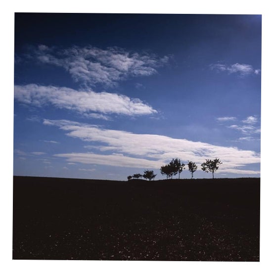 Paul Cooklin, Walsham Le Willows, Edition 2/10 For Sale