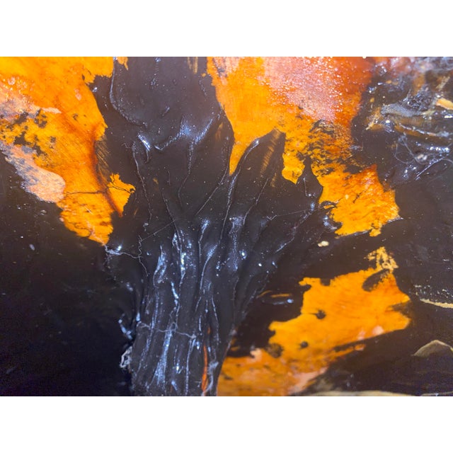 Vintage Redwood Burl Tree Trunk Coffee Table – Sculptural Organic Modern Design For Sale In Chicago - Image 6 of 9