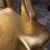 Wood Hand-Foot Chairs Mexican Modernism Artist Pedro Friedeberg For Sale - Image 7 of 17