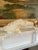 1950s Vintage Mid-Century Modern Large Plaster Horse Heads, Pair For Sale - Image 4 of 8