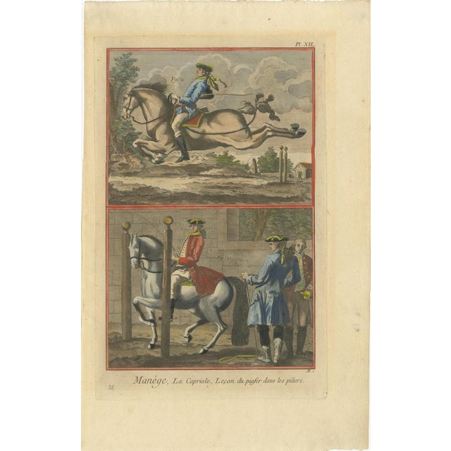 French School Artist, Haute École Horsemanship, 1750s, Engravings, Set of 2 For Sale - Image 4 of 10