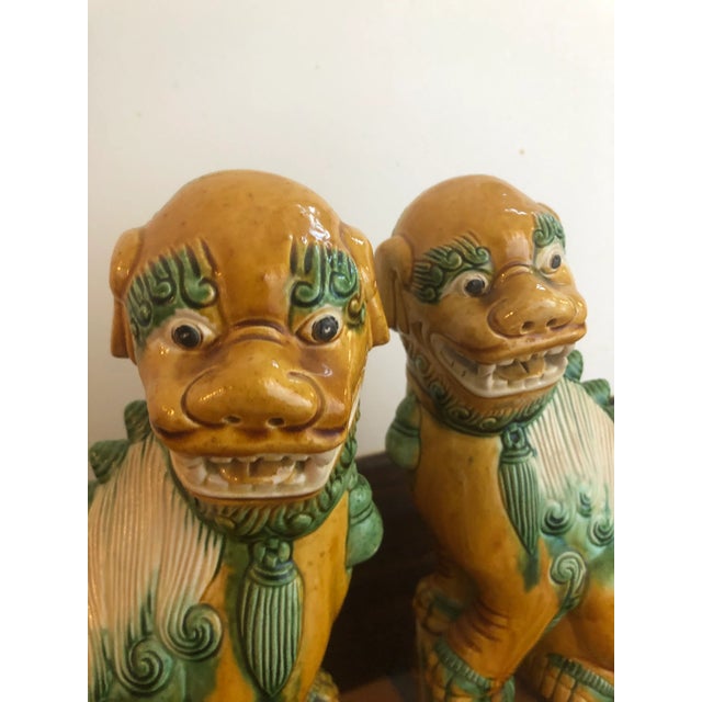 Unusual Pair of large glazed foo dogs. Hand painted in mustard yellow, green and white.