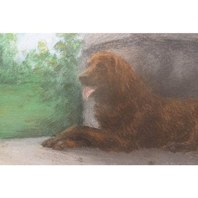 Late 20th Century Maud Alice Earl (1863–1943) - Untitled (Dog) Signed Pastel Illustration Framed For Sale - Image 5 of 7
