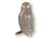 Vintage English silver-plated owl figure, beautifully detailed with a textured finish that captures the wisdom and charm...