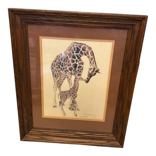 Vintage Evelyn Gross ‘Aisha & Mother’ Brookfield Zoo Chicago Numbered Giraffe Lithograph 60/1000 For Sale In Indianapolis - Image 6 of 12