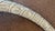 1980s 1980s Carved Composite Tusk For Sale - Image 5 of 12