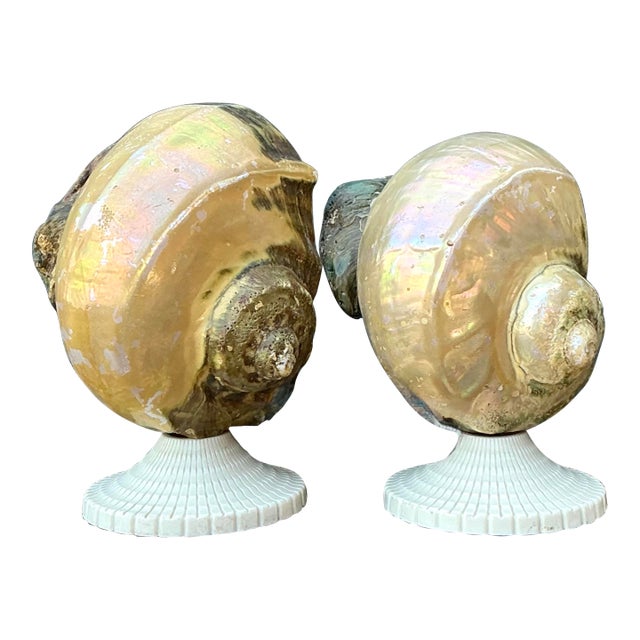 Vintage Deco Nautilus Shell Lamps - A Pair For Sale