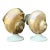 Vintage Deco Nautilus Shell Lamps - A Pair For Sale