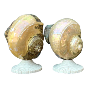 Vintage Deco Nautilus Shell Lamps - A Pair