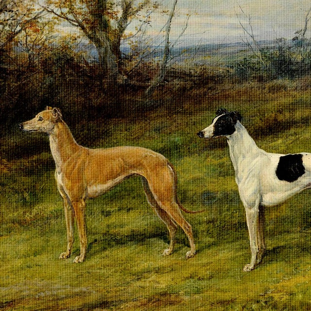 This elegant print of a classic sporting scene by Heywood Hardy features two poised greyhounds set against a peaceful...