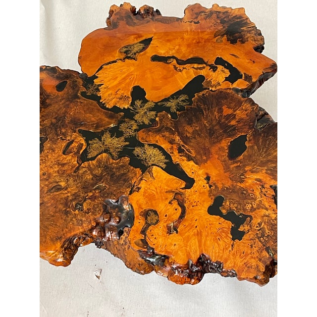 Mid-Century Modern Gorgeous 1960 Tedeood Slab Stump Root Live Edge Coffee Table For Sale - Image 3 of 17