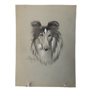 1940s Original Signed Graphite Illustration of Collie Dog Portrait, 11.75 × 8.75 In. For Sale
