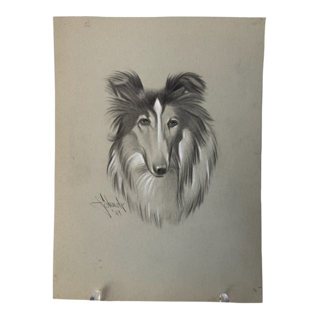 1940s Original Signed Graphite Illustration of Collie Dog Portrait, 11.75 × 8.75 In. For Sale