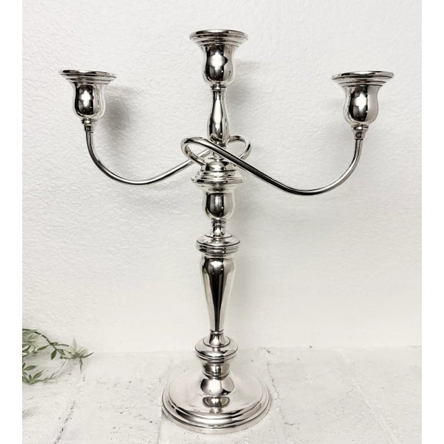 Metal Vintage Sterling Silver Lord Saybrook Twisted Branch Candelabra For Sale - Image 7 of 11