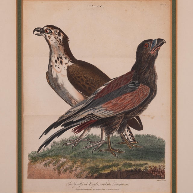 John Pass After Reinhold Eagle Engravings, c.1805 For Sale - Image 4 of 6